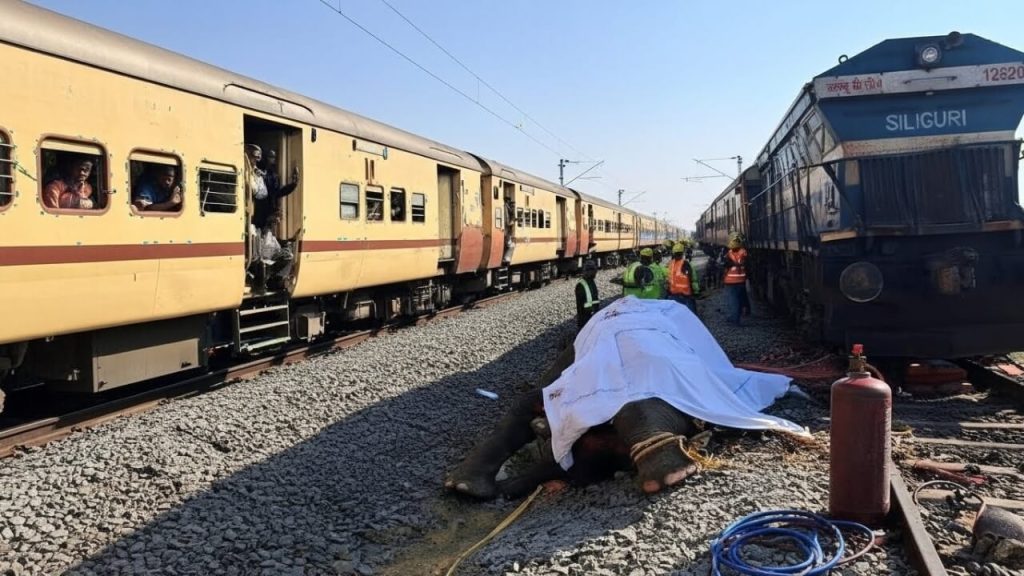 Elefanten-Zug-Unfall-Assam