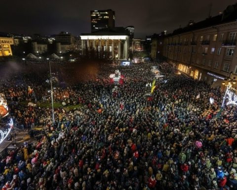 litauen-katze-rundfunk-chefin