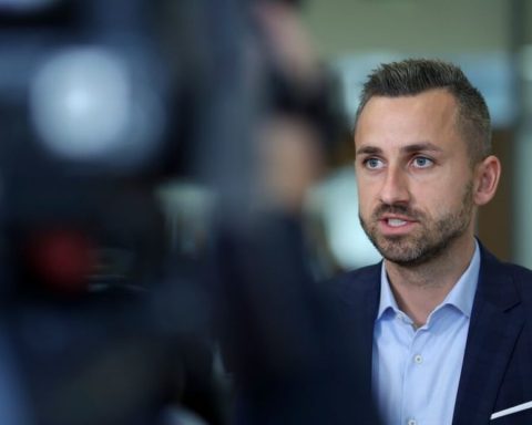 AfD Disneyland Skandal Wahlerfolg