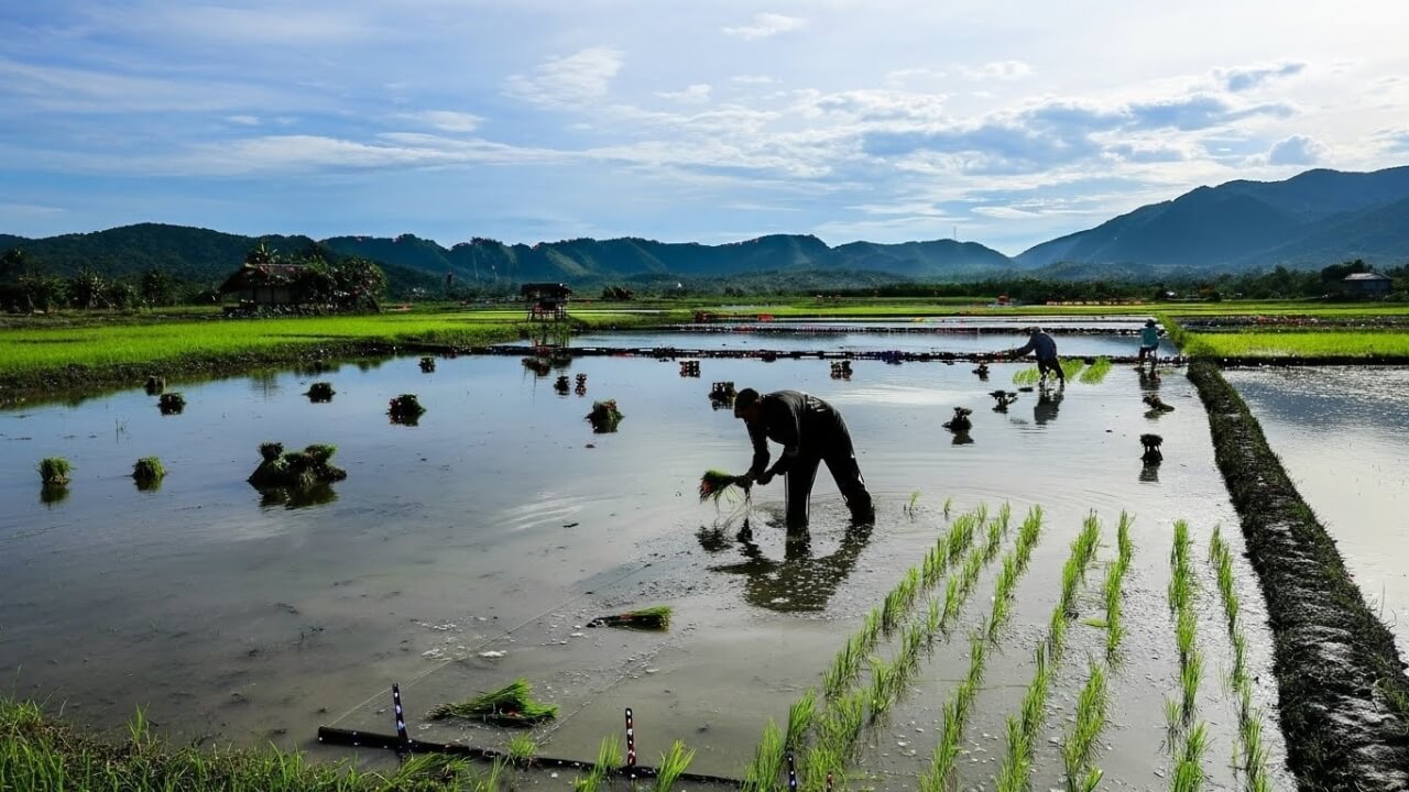 aceh-tsunami-frieden-modell