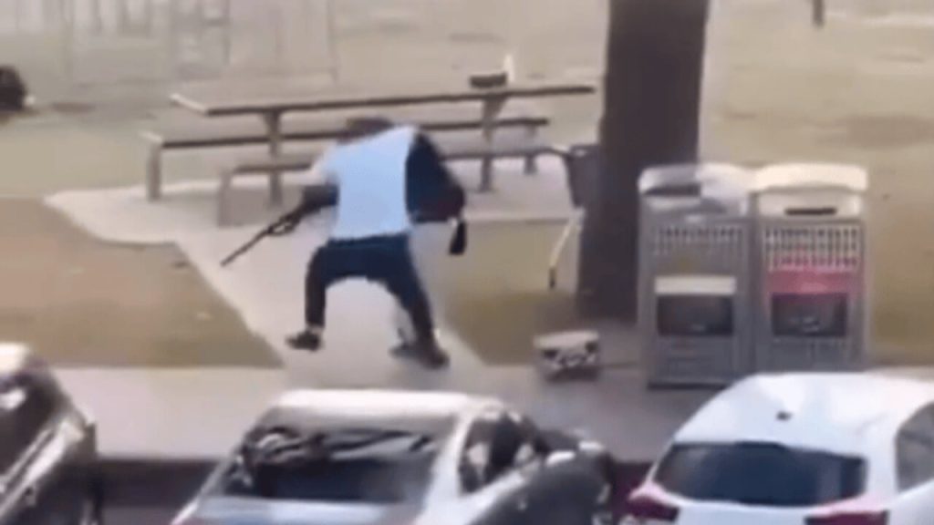 held-bondi-beach-held