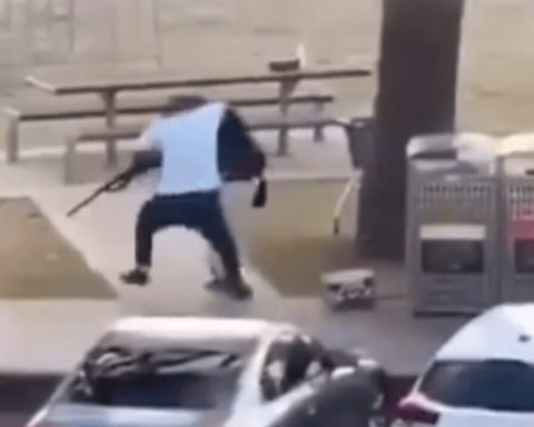 held-bondi-beach-held