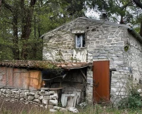 waldfamilie-sorgerecht-weihnachten-italien