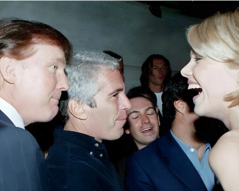 trump-epstein-fotos-demokraten