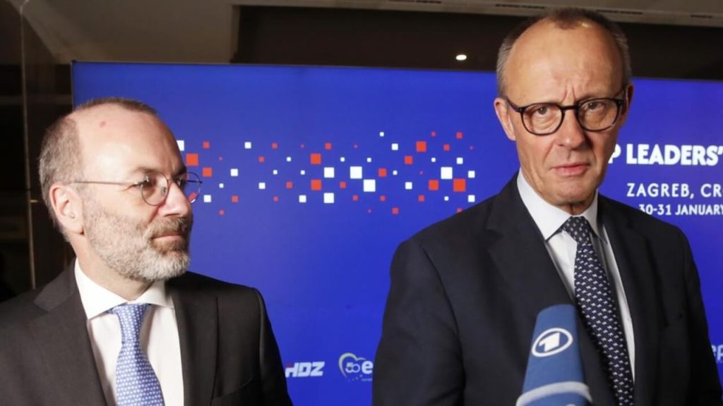 merz-weber-eu-reformen-skepsis