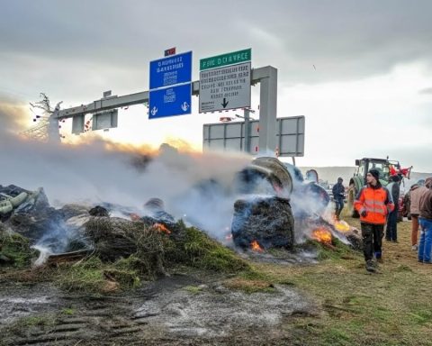 EU Landwirte Mercosur Kompromiss