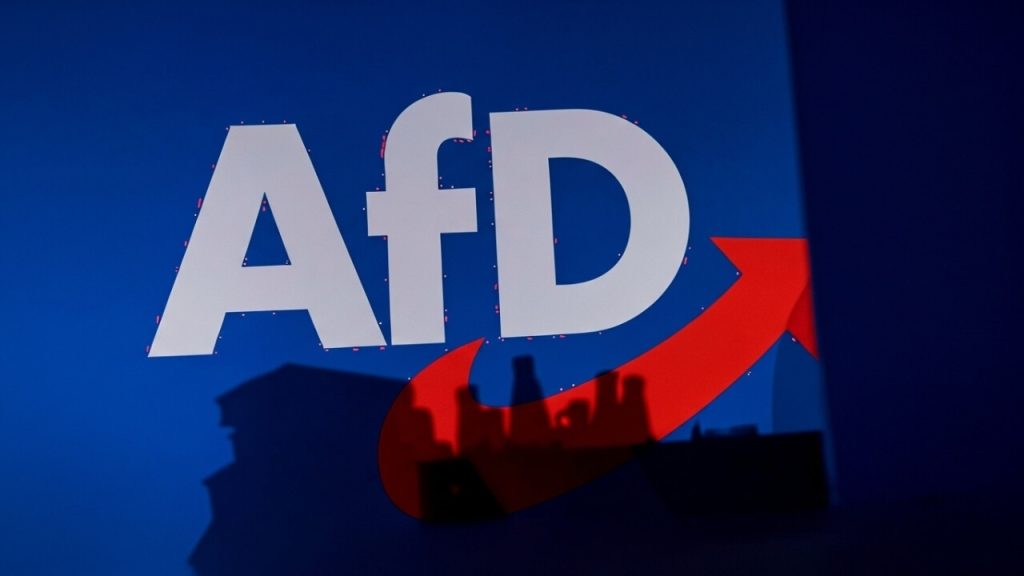 AfD Regierungsbeteiligung Arbeitsgruppe Budget ​