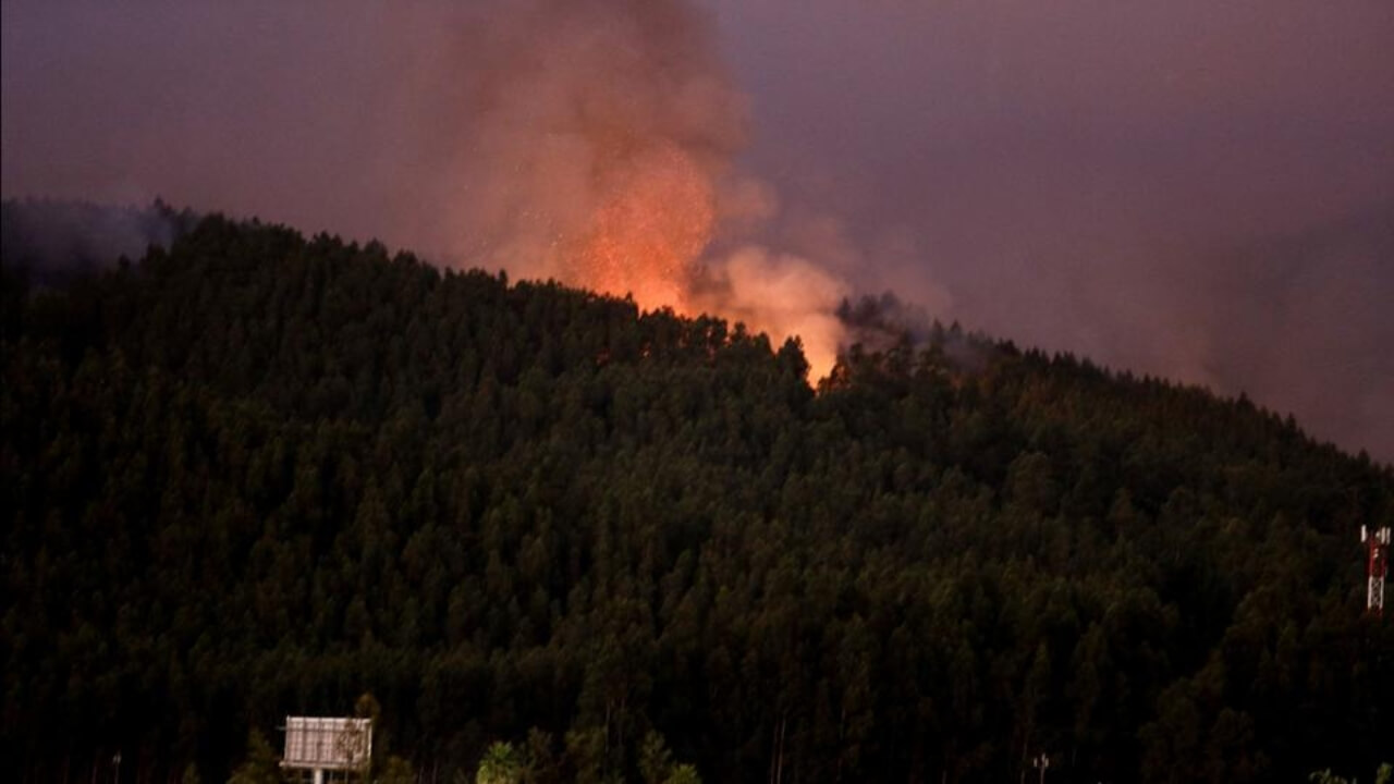 chile-waldbraende-tote-sommer