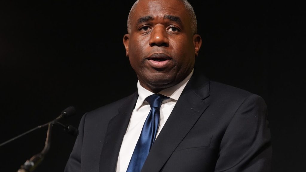 Trump Grönland Lammy Rückzug