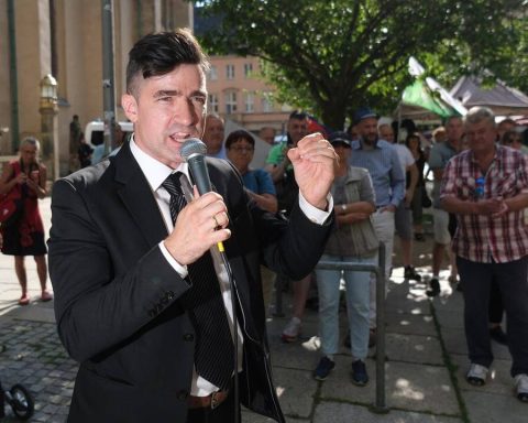 afd-sellner-streit-remigration ​