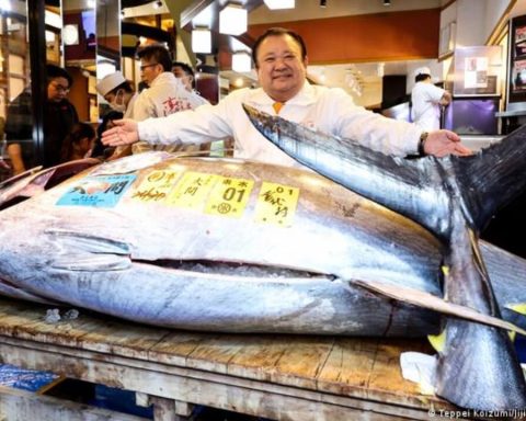 thunfisch-rekord-tokio-auktion