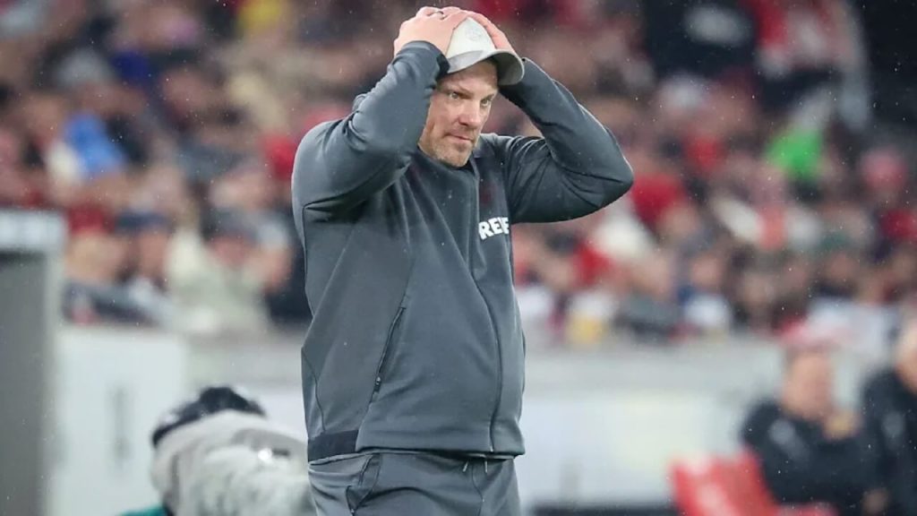 vfb-stuttgart-koeln-trainer-kwasniok