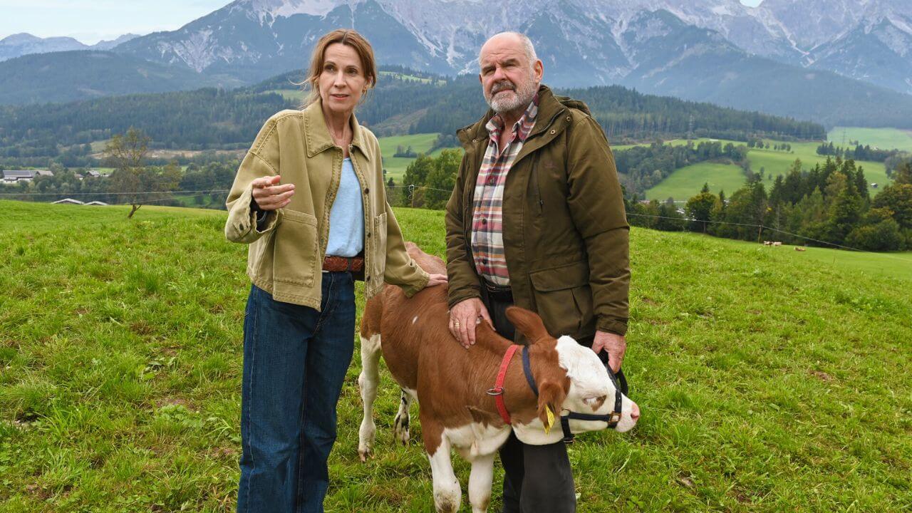 maiwald-zdf-serie-news