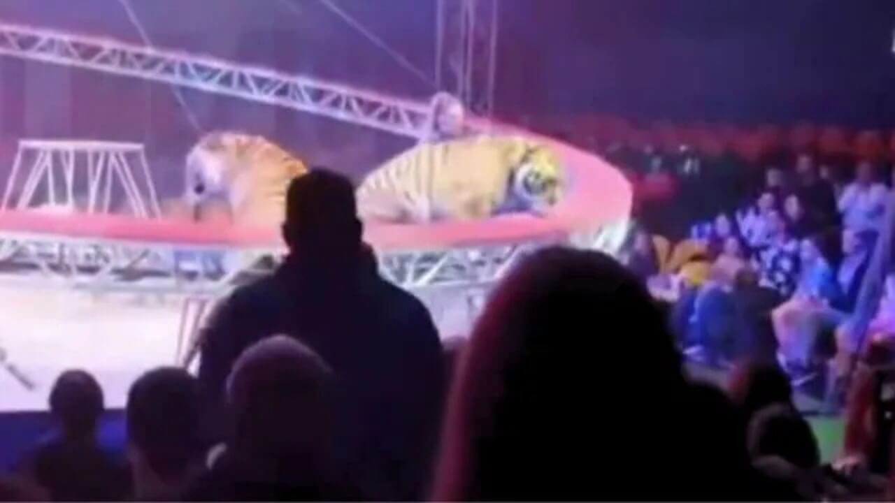 zirkus-aktuelle-news-2026