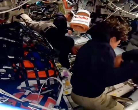 nutella-artemis-viral-im-live-stream