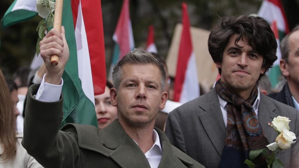 social-media-kampagne-magyar