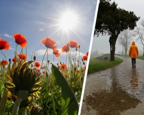 polarwirbel-bricht-kaltes-wetter