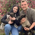 bauer-sucht-frau-news