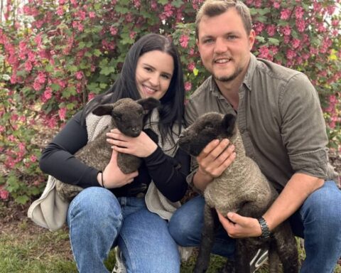 bauer-sucht-frau-news