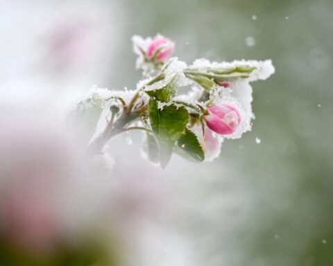 deutscher-wetterdienst-aktuelle-news