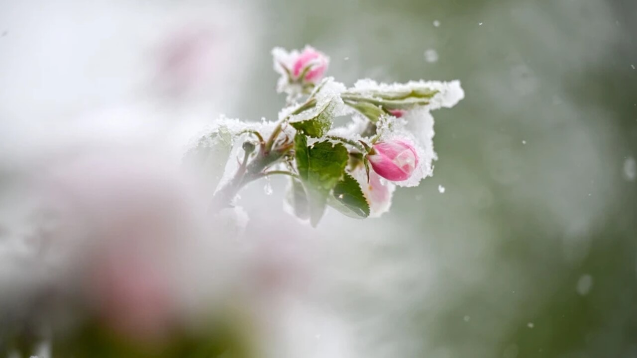 deutscher-wetterdienst-aktuelle-news