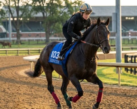 kentucky-derby-trainer-analyse