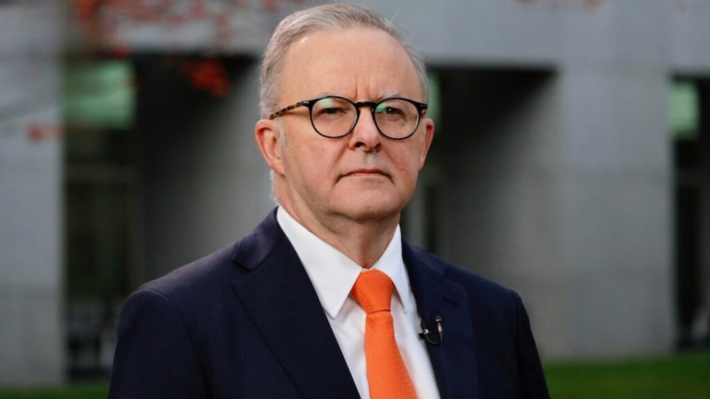 albanese-steuerreform-analyse-bericht