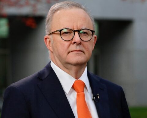 albanese-steuerreform-analyse-bericht