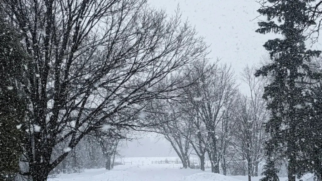 winter-klimawandel-stuerme-extreme