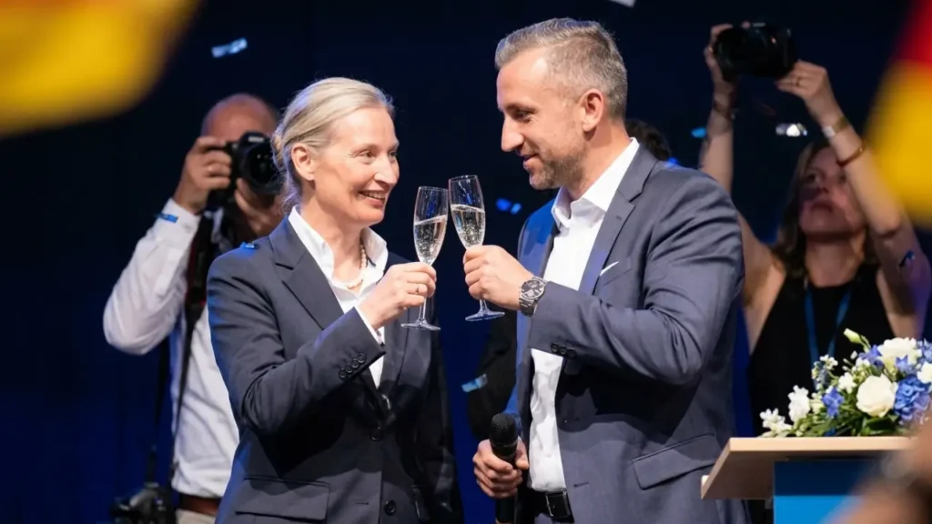 afd-wahlprogramm-sachsen-anhalt-analyse