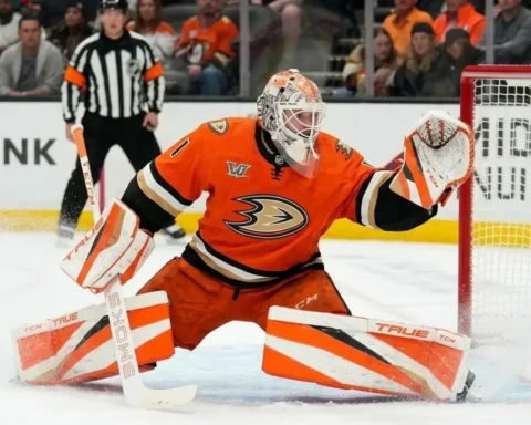 ducks-oilers-bouchard-sieg-nhl