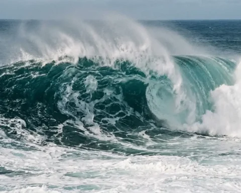 monsterwelle-vancouver-island-rekord