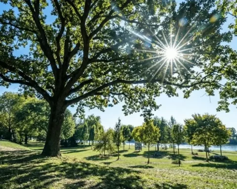 oktober wetter sonne temperaturen
