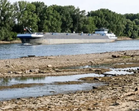schiffe-oppenheim-rhein-festgefahren