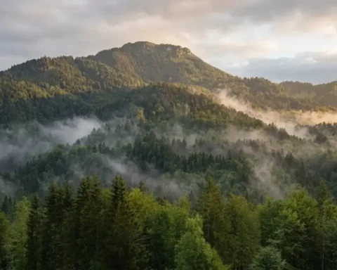 wandern-bruennstein-wanderer-rettet