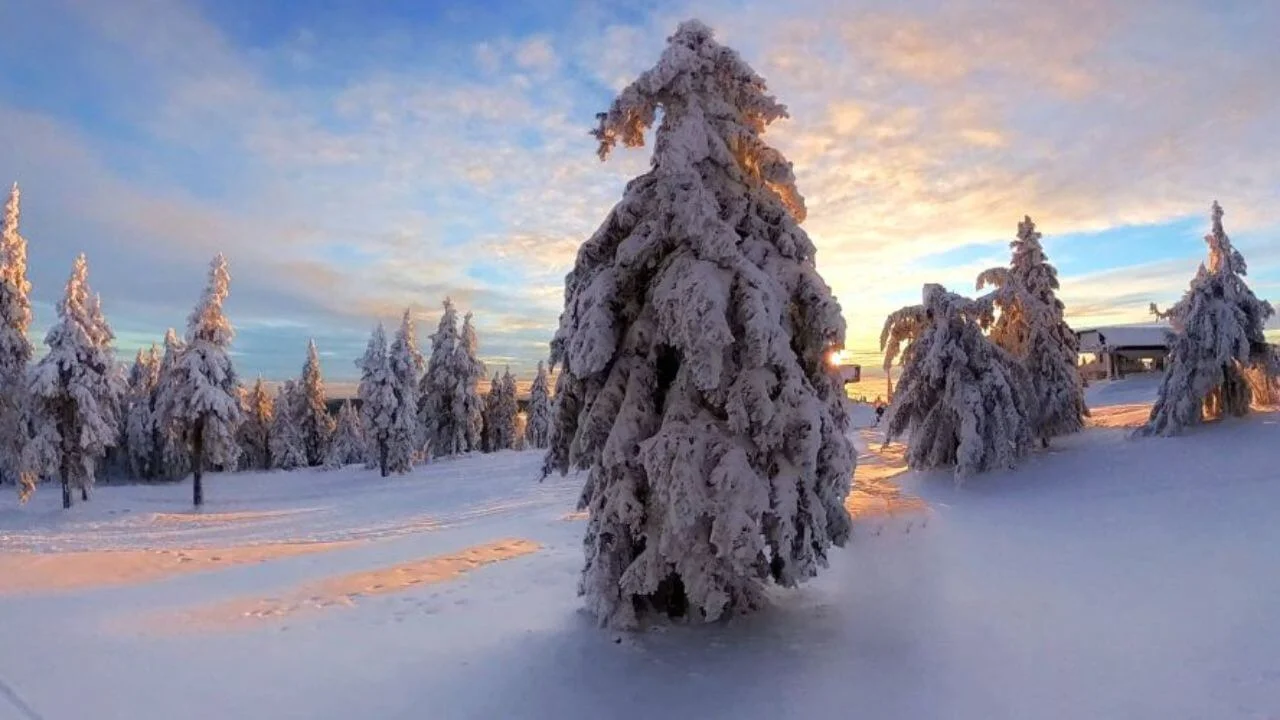 wetterprognose-schneefall-news